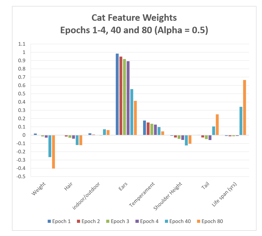 Cat Feature Weights