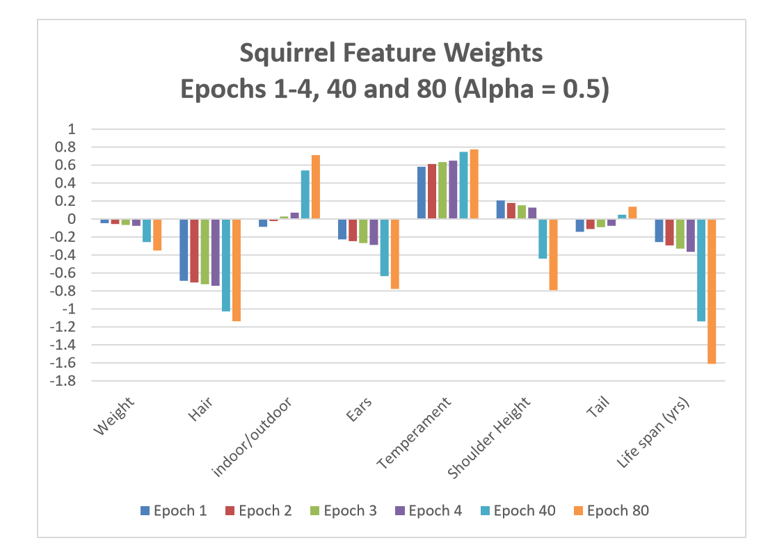 Squirrel Feature Weights
