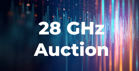 28 GHz Auction